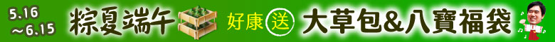 粽夏端午★頂級素粽通通在這!