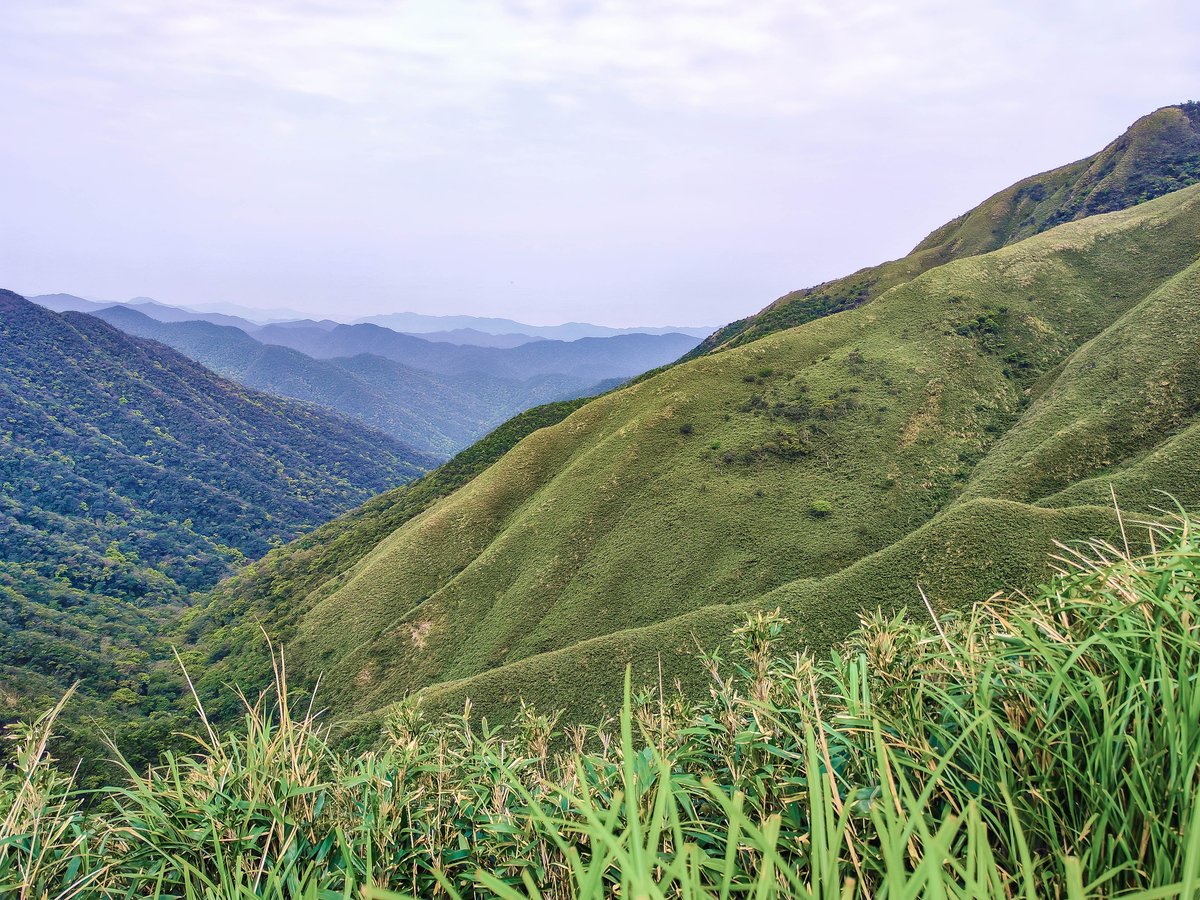 素易遊：抹茶山