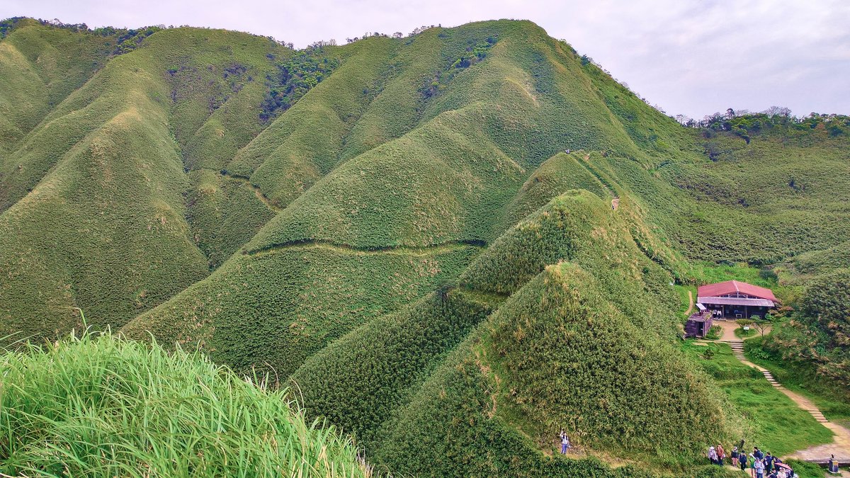 素易遊：抹茶山