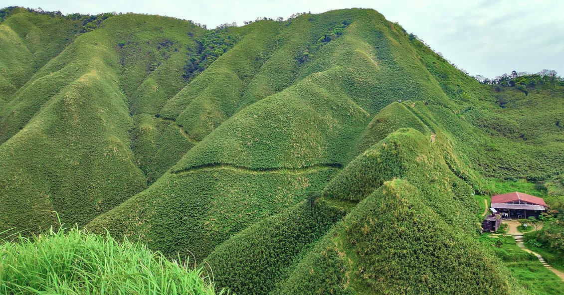 宜蘭抹茶山秘境健走一日遊．五峰旗聖母登山步道