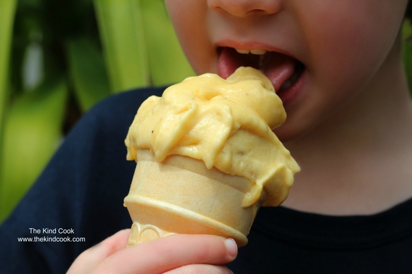 七種不用乳製品做冰淇淋的方法：suiis素易